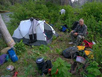 Youngs Cr Camp In Bushes