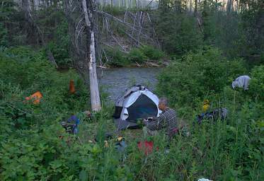 Youngs Cr Camp In Bushes