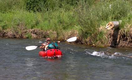 Packboats WDogs