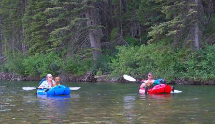 Packboats WDogs