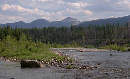 SFkFlathead_0334_20150704