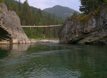 High Water Log Spanning River