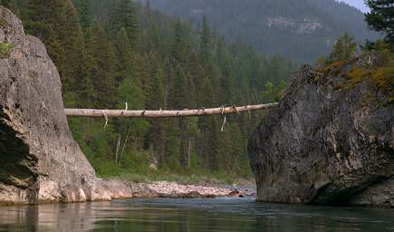 High Water Log Spanning River