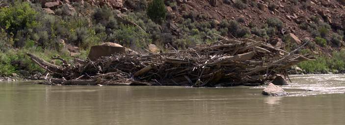 Debris Pile