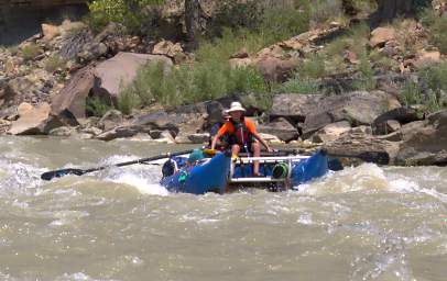 Wire Fence Rapid Randy