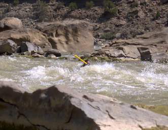 Three Fords Rapid Ducky Joni