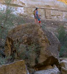 School Section Canyon Boulder Joni Camden