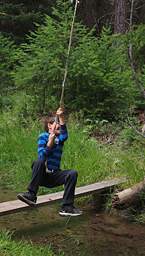 Tree House Swing Hayden