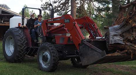 Tractor Autumn