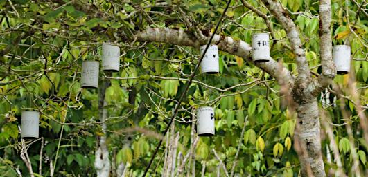 Beehives