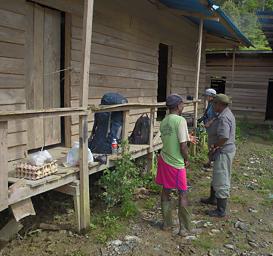 Arfak Low Camp Prep For Hike