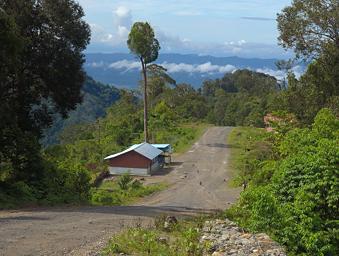 Arfak Low Camp Hike