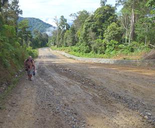 Arfak Low Camp Hike