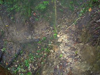 Arfak Low Camp Trail To Hide