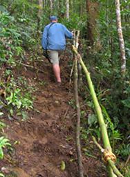Arfak Low Camp Trail