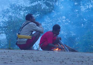 Arfak Low Camp Fire By Road