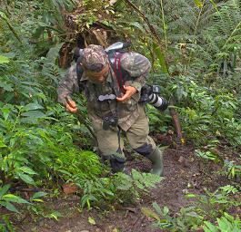 Arfak German Camp Trail Mehd