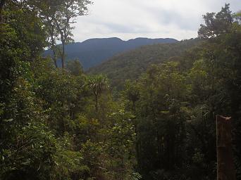 Arfak German Camp View