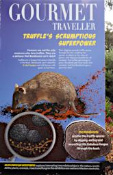 Perth Sign Truffles