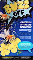 Perth Sign Hibbertia