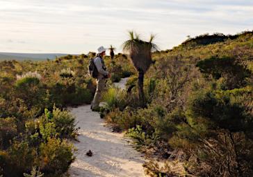 Nambung NP Kingia Gary