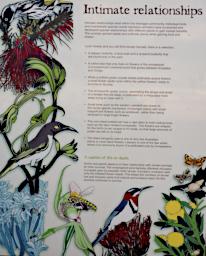 Lesueur NP Sign Relationships