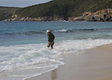 Fitzgerald NP Beach Gary