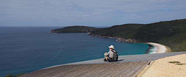 Fitzgerald NP Overlook Gary