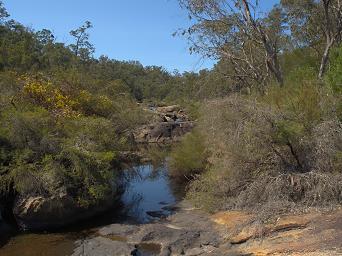 Wellington NP