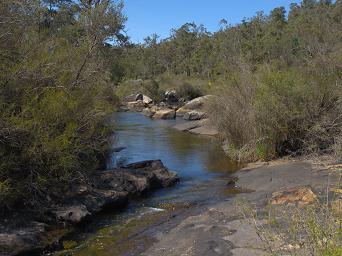 Wellington NP