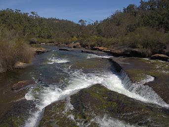 Wellington NP