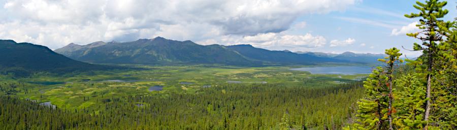 Stikine River