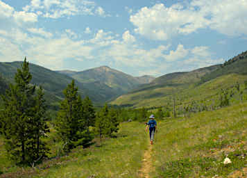 Caribou Pk