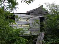 Shack, New Haven