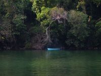 Return to Rio Dulce