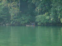 Rio Dulce, Cayuco