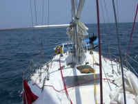 Malakii, Spinnaker from Bow