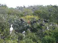 Lighthouse Reef