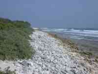 Lighthouse Reef