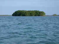 Douglas Cay