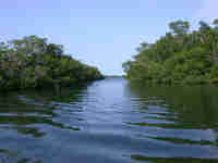 Channel near Douglas Cay