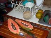 Papaya