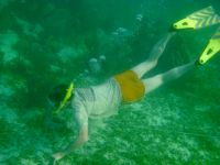 Dave Snorkeling