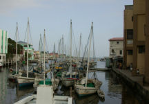 Fishing Boats