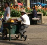 Street Vendor