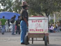 Street Vendor