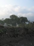 Mudslide cut in creekbank