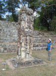 Stela D