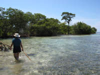 Franks Cay