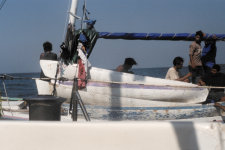 Fishermen, Southwater Cay